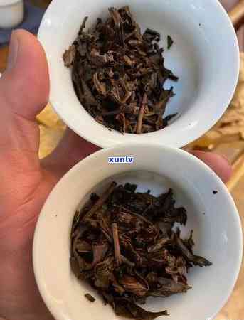 1998年下关沱茶价格，1998年下关沱茶：回顾历，探索其价格变化