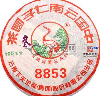 下关2008年8803沱茶：一款值得收藏的经典普洱茶