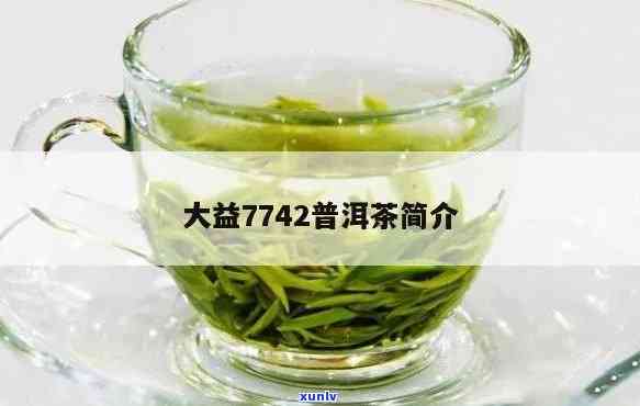 大益茶7742口感-大益茶7742价格