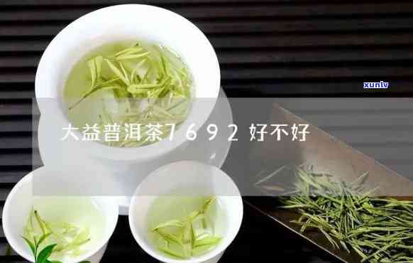 大益茶7692口感-大益茶7692怎么样