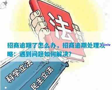 招商逾期一年怎么办，解决招商逾期问题：一年后该怎么做？