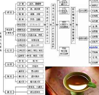 大益茶知识全书：深入了解大益茶的种类、历和文化