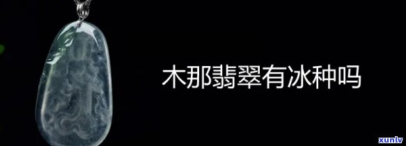 冰种翡翠木头值钱吗，探究冰种翡翠与木头的价值：哪种更值得收藏？