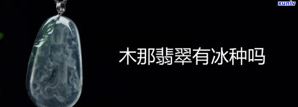 木讷冰种翡翠，揭秘冰种翡翠中的珍品——木讷冰种翡翠