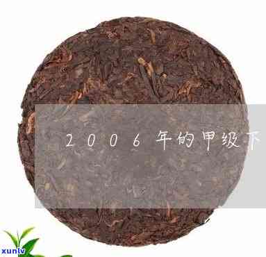 甲级下关沱茶2006年，品味历：探索2006年的甲级下关沱茶