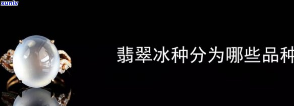 冰种玉石分类有哪些，全面解析：冰种玉石的种类划分