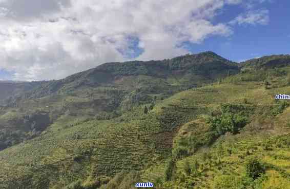 勐海包括哪几个山头景区，探秘云南勐海：揭秘其包含的多个山头景区