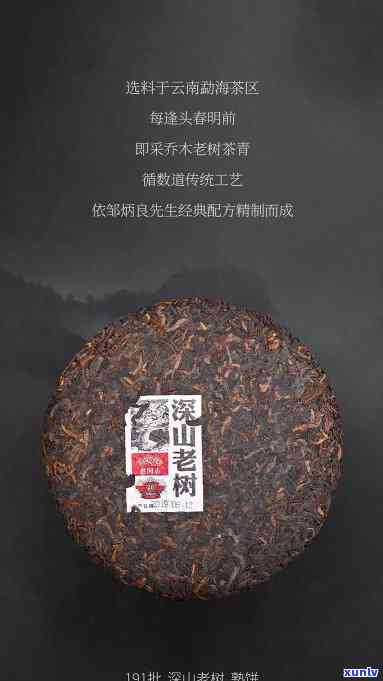 老同志普洱茶深山老树：口感醇厚，源自深山老树的熟茶佳品