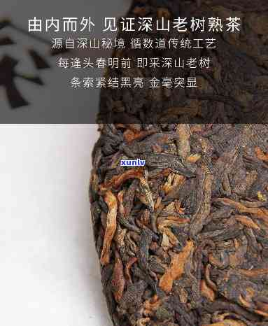 老同志普洱茶深山老树：口感醇厚，源自深山老树的熟茶佳品