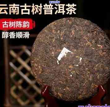 勐海老树普洱茶，品味云南风情：探索勐海老树普洱茶的独特魅力