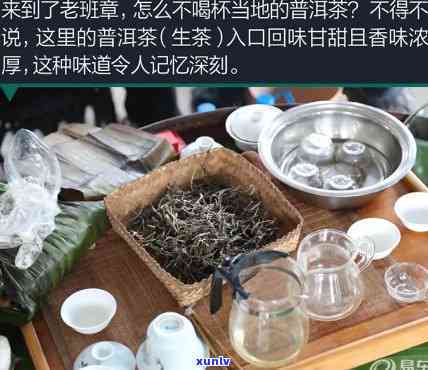 勐海县老树茶厂生产的普洱茶，品味历与自然：探索勐海县老树茶厂的普洱茶之旅