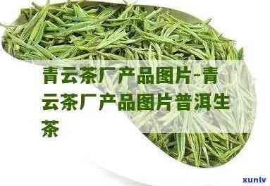 青云茶厂：更受欢迎的几种茶叶品种介绍