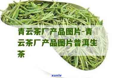 青云茶厂的产品大全：详细介绍各类优质茶叶