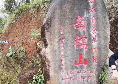 勐海茶区7大茶山，探秘勐海茶区：七大名茶山的魅力与韵味