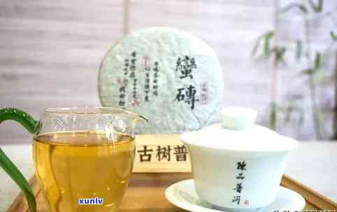 勐海和普洱的茶叶谁好，勐海茶与普洱茶：一场味蕾的较量