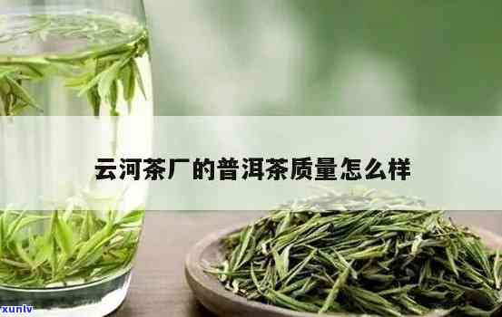 云河茶厂生产的茶质量如何？全面评价