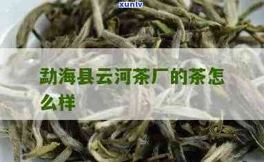 云河茶厂生产的茶质量如何？全面评价