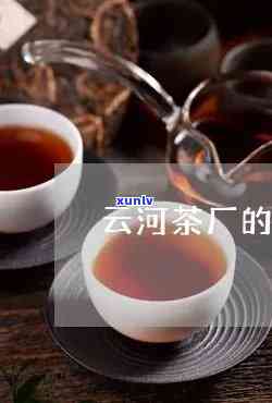 云河茶厂梦桥的价格-云河茶厂茶