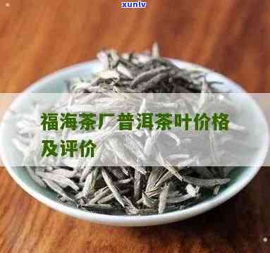 福海茶厂8376：普洱茶熟茶价格全览