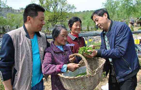 安化莲花山茶厂价格-安化莲花山茶厂价格表