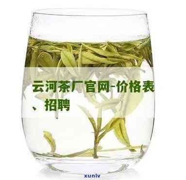 云河茶厂官网价格表最新更新，一网打尽最新消息！