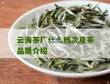 云河茶厂生产的茶属什么档次，探秘云河茶厂：揭秘其茶叶所处的档次级别