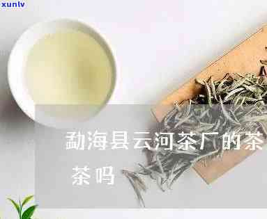 云河茶厂生产的茶属什么档次，探秘云河茶厂：揭秘其茶叶所处的档次级别