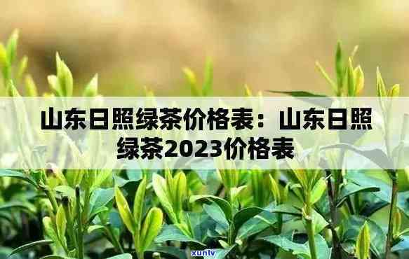 日照圣山茶厂价格表大全，日照圣山茶厂：全价位一览，一网打尽！