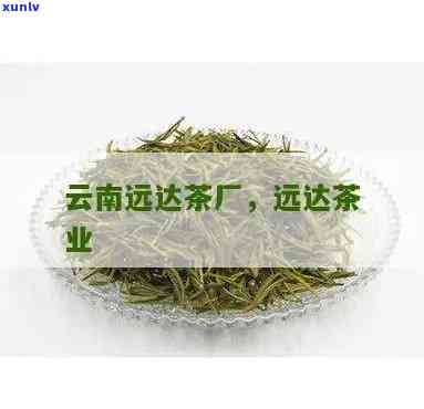 有谁买过勐海远达茶-勐海远达的茶质量好吗