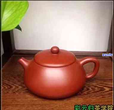 勐海产区茶的特点，探秘云南勐海产区茶叶的独特特点