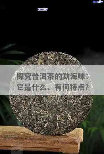 探究勐海茶的独特之处：特点解析与精美图片展示