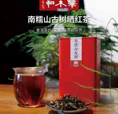 特选南糯山古树晒红-南糯山古树红茶特点