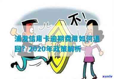 2020年浦发信用卡逾期政策，详解2020年浦发信用卡逾期政策，避免不必要的罚款和信用损害