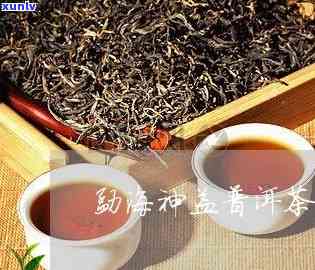 勐海神益茶业 *** 店-勐海神益茶业 *** 店是正品吗