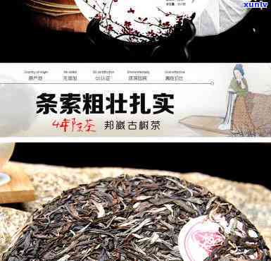 勐海神益茶业 *** 店-勐海神益茶业 *** 店是正品吗