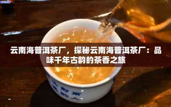 勐海陈升茶厂，探索云南普洱茶的魅力：品鉴勐海陈升茶厂的优质茶叶