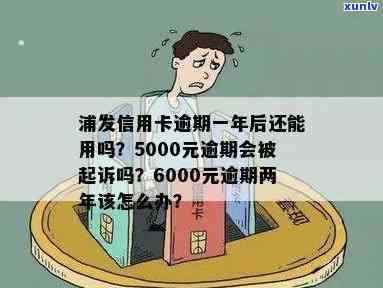 浦发银行逾期一年，金额5000是不是会面临起诉?