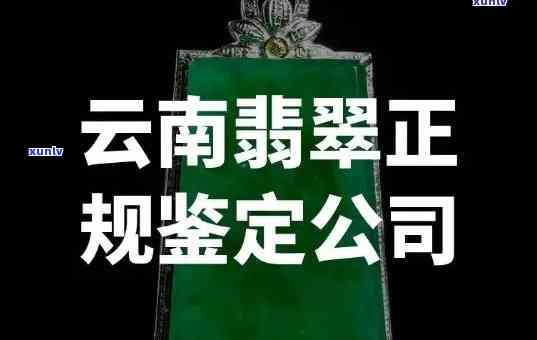 云县天然翡翠鉴定机构，权威认证：云县天然翡翠鉴定机构提供专业鉴定服务