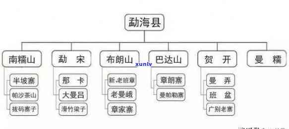 勐海茶区详细：山头、山头村与山头村数量全解析