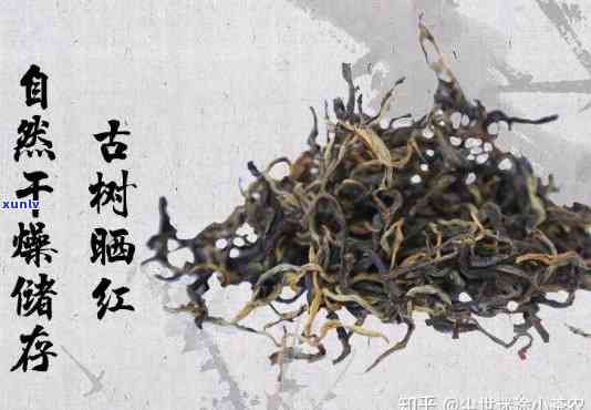 古树晒红：红茶还是白茶？探讨其分类与特点