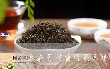 州芳村大益茶业网，探索茶叶文化：州芳村大益茶业网的详细介绍