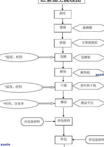 深入解析生晒红茶的 *** 工艺与流程图