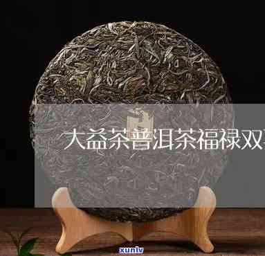 大益茶福双喜价格2016，2016年大益茶福双喜的价格是多少？