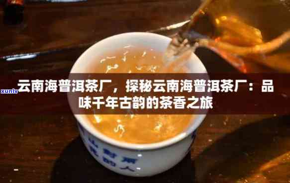 云南西双版纳勐海茶厂出品，品尝云南西双版纳的独特风味：来自勐海茶厂的优质茶叶