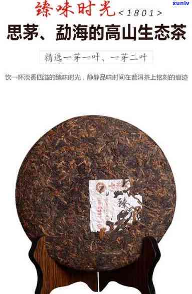 西双版纳臻味号茶厂-西双版纳臻味号茶厂什么档次