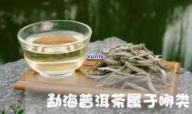 勐海茶的种类有哪些-勐海茶的种类有哪些品种