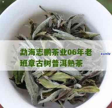 勐海志鹏茶业怎么样-勐海志鹏茶业怎么样啊