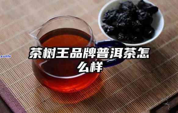 勐海茶树王茶怎么样？口感如何，价格多少？