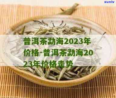 勐海茶树王普洱茶价格，【2023最新】云南勐海茶树王普洱茶价格是多少？