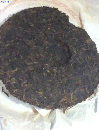 大益茶号的叶底-大益茶 号